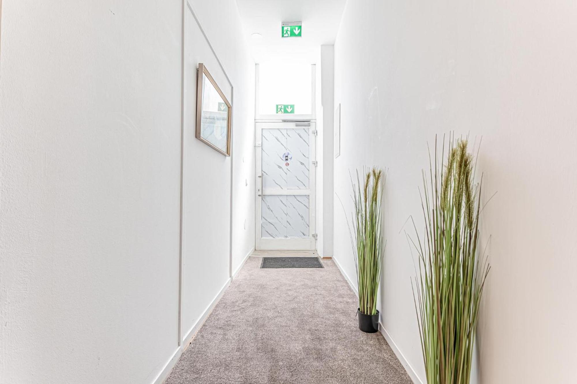 Loevly Shared 6Br With Garden Near Danube & Millenium City فيينا المظهر الخارجي الصورة